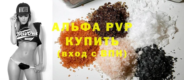 стафф Елизово
