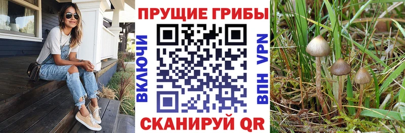 Галлюциногенные грибы мухоморы  цена наркотик  Уржум 