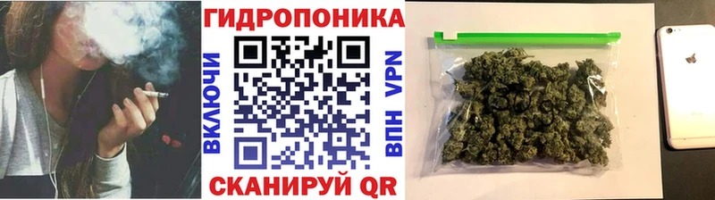 купить сайты Уржум Бошки Шишки индика